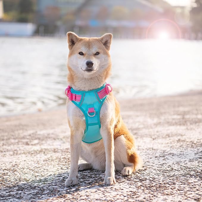 No Pull Dog Harness, Unique Colors Reflective Adjustable Dog Vest | with Soft Training Handle Metal Clips for Small Medium Large Dogs (Mint Green Base & Pink Straps,L)