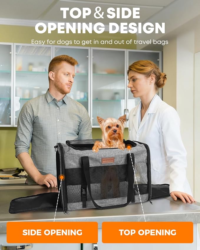 Foldable Cat Dog Carrier for Pets up to 15 Lb, Grey | Top & Side Entry, Soft-Sided Pet Carrier with Ventilated Anti-Scratch Mesh & Car Seat Buckle for Car Travel, 20×13×13 in