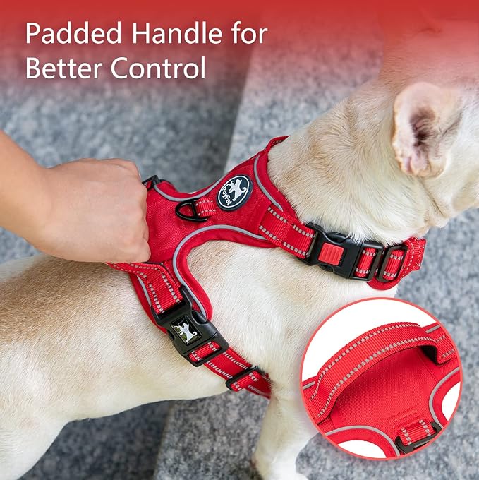 PoyPet No Pull Dog Harness, Reflective Vest with 2 Leash Clips & Handle | Lockable Neck Release Buckle, No Choke, Adjustable, Soft Padded, for Walking Training, Red Matching Trim, X-Small
