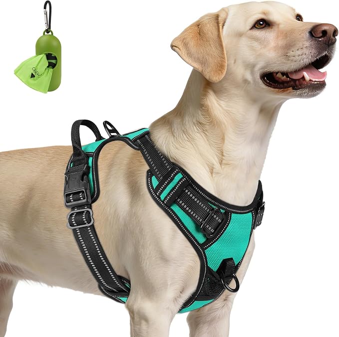 Joytale No Pull Dog Harness for Large Dogs, Front Clip, Teal | Grab Handle for Instant Control, Padded & Adjustable Vest, Sturdy Metal D-Rings, for Safe Training & Daily Walking