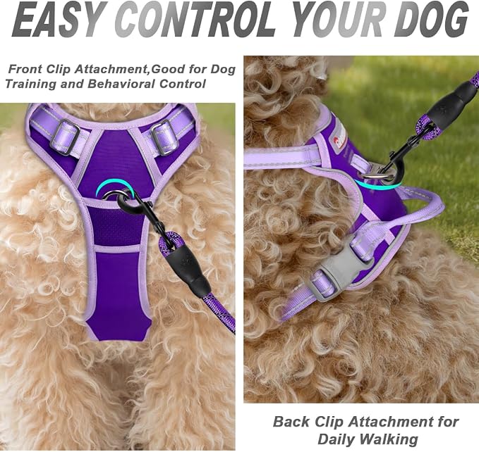 BARKBAY Dog Harness No Pull for Small Sized Dog Front Back Clips,Dog Vest | Soft Padded No Choke With Handle,Easy On&Off,Adjustable Reflective For Walking Training Running(Violet Purple & Purple,S)