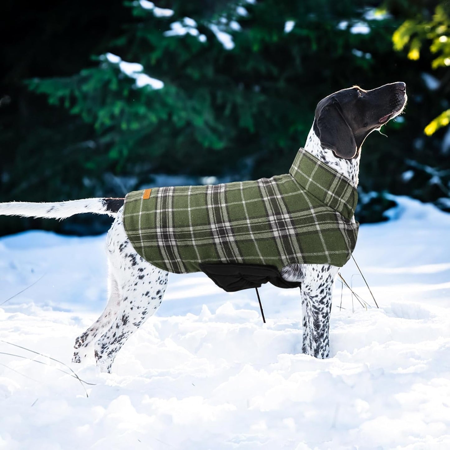 Kuoser Warm Dog Coat, Waterproof Dog Jacket for Extra Large Dogs, Adjustable Durable XXXL Doggie Winter Coat Reversible Puppy Cold Weather Apparel for Large Breed, Blue 3XL