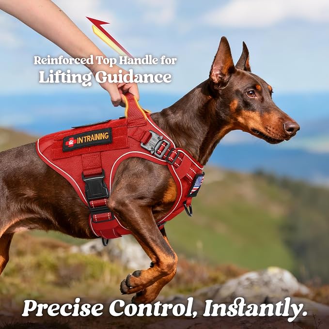 rabbitgoo Tactical Dog Harness for Small, Heavy Duty Military No Pull Vest | Sturdy Metal Buckles, 5 Adjustments, Molle System, Powerful Pullers for Training, Hunting, Outdoor, Red Reflex, Small