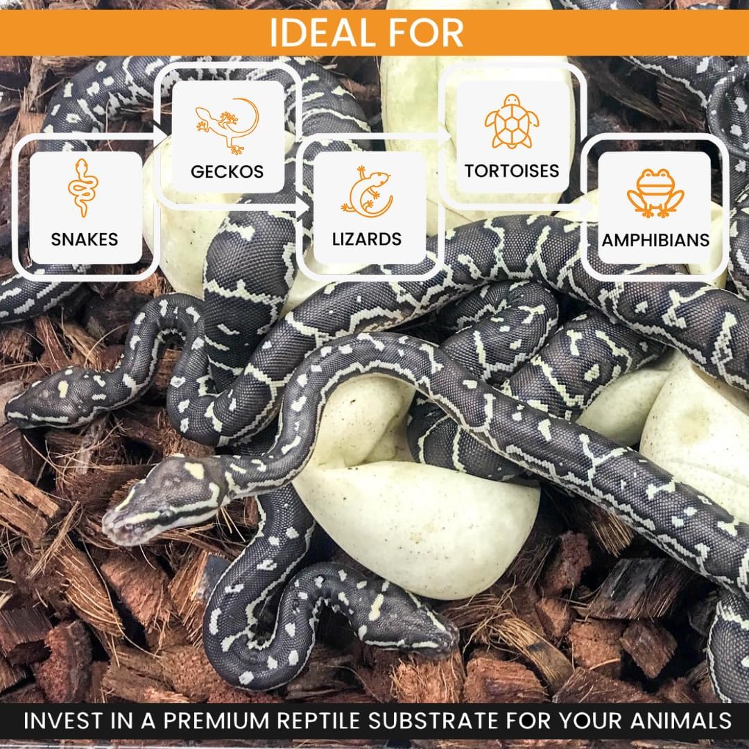 ReptiChip Reptile Bedding Loose Coconut Chip 12 Quart Coco Husk Substrate Mulch for Snake Habitat, Ball Python Terrarium, Turtle Tanks, Tortoise Enclosure