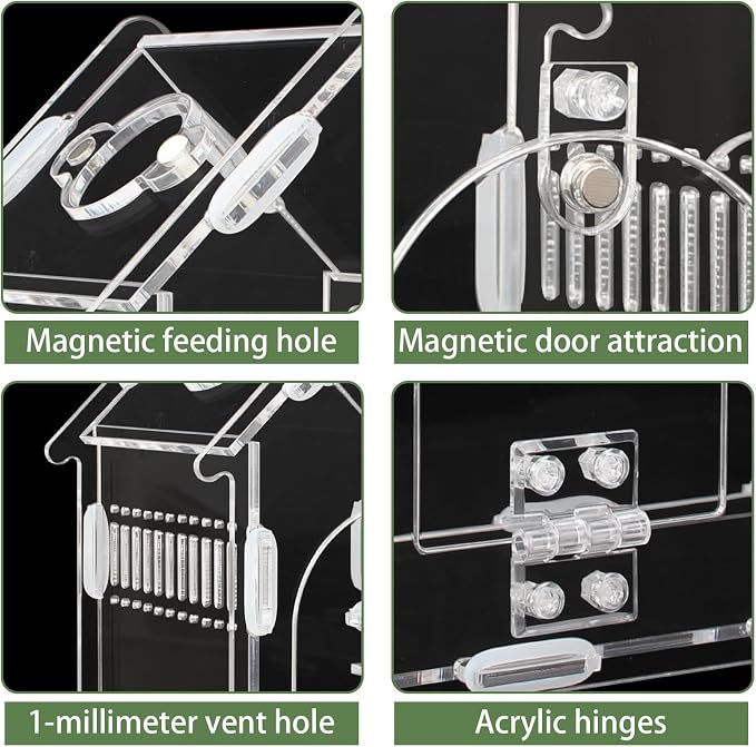 Acrylic Jumping Spider Enclosure Magnetic Lock Terrarium | Clear Acrylic Viewing, Dual Vents, Sloped Roof, 5.9x3.9x5.1", Tool-Free Assembly