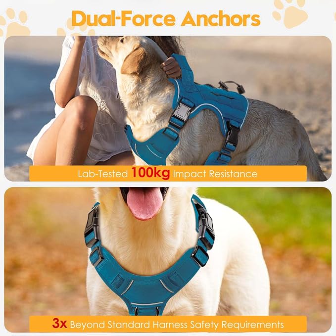 Heavy-Duty Tactical Dog Harness for Large Dogs, No Pull Adjustable Reflective Pet Vest with Molle System, K9 Military-Grade Control for Service Training, Outdoor & 10+ Breeds, Blue, Small