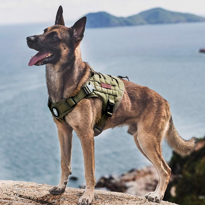 OneTigris Tactical Dog Harness Vest No-Pull Service Dog Vest for Large Dogs | 1000D Pullable Nylon, with Control Handle and Hook & Loop Panels, Easy On & Off, Adjustable for Walking Training Green XL
