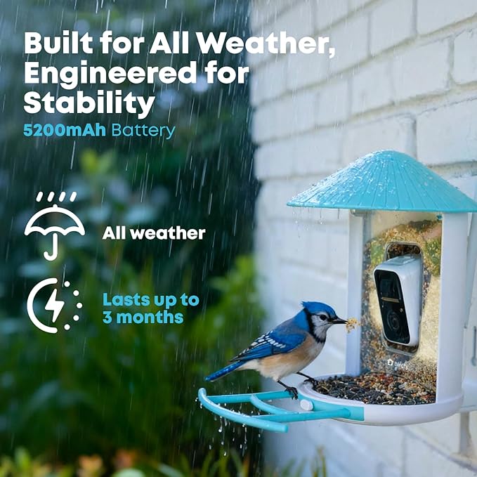 NETVUE by Birdfy Smart Bird Feeder with 2K AI Camera, Auto Capture Videos & Motion Detection, Live Steam, Wireless Wildbird Watching, Ideal Gift for Outdoor Backyard Birder(AI by Subscription)
