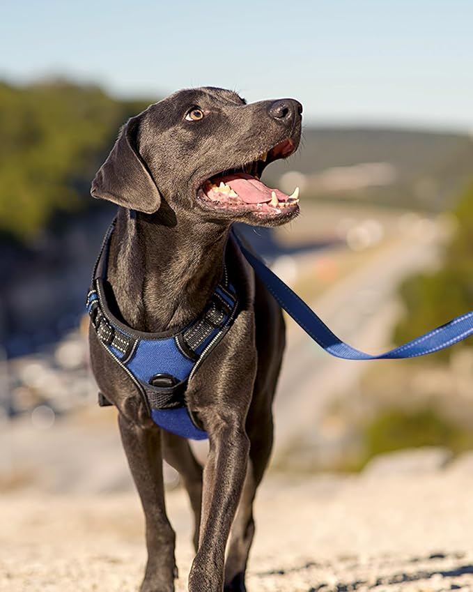 Joytale No Pull Dog Harness Medium Sized Dog, Front Clip, Navy Blue | Grab Handle for Instant Control, Padded & Adjustable Vest, Sturdy Metal D-Rings, for Safe Training & Daily Walking