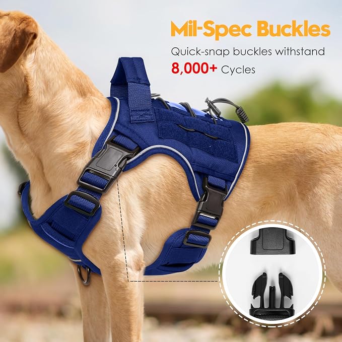 Heavy-Duty Tactical Dog Harness for Large Dogs, No Pull Adjustable Reflective Pet Vest with Molle System, K9 Military-Grade Control for Service Training, Outdoor & 10+ Breeds, Dazzling Blue, Small
