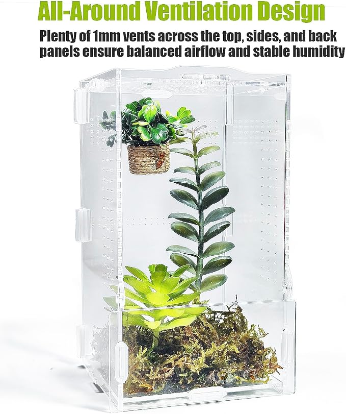 Jumping Spider Enclosure, Transparent Arboreal Tarantula Habitat, Praying Mantis Terrarium Critter Cage for Jumping Spider, Tarantula Slings, Mantis, Snail, Isopods, Beetles, Millipedes
