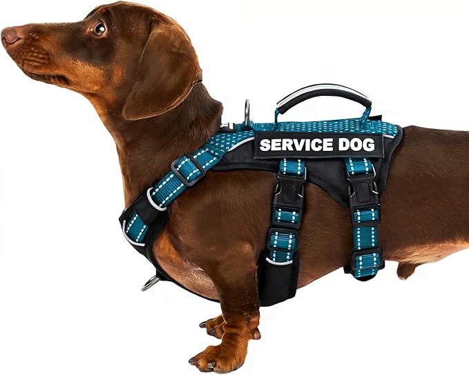 Service Dog Vest Harness, Escape Proof Harness with 6 Patches, No-Pull, Reflective Harness with Handle, Adjustable for Small to Large Dogs, for Training and Hiking (Teal, S)