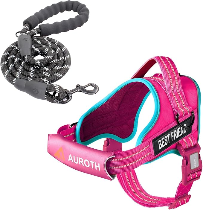 AUROTH Dog Harness and Leash Set for Large Sized Dog, No Pull Dog Vest | with Leash Clips, LED light clip, Soft Padded No Choke, Escape Proof, Easy Walking and Training, Rose Red, XL