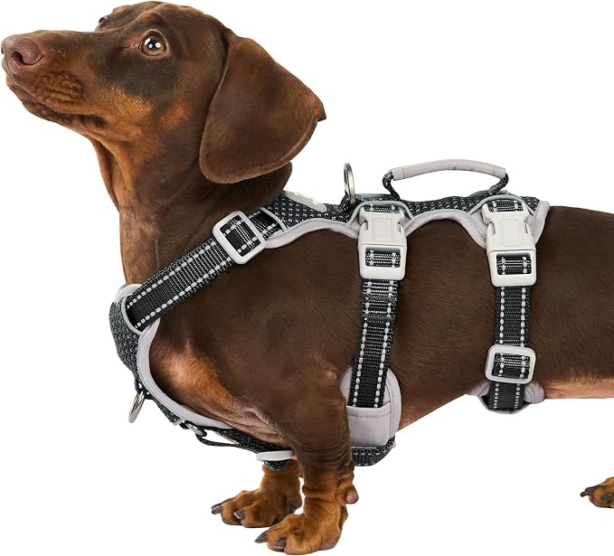 Escape Proof Dog Harness, Secure Dog Harness No Escape, Fully Reflective Harness with Handle, Breathable, Durable, Adjustable Vest for Small Dogs Walking, Training, and Running Gear (Black,S)