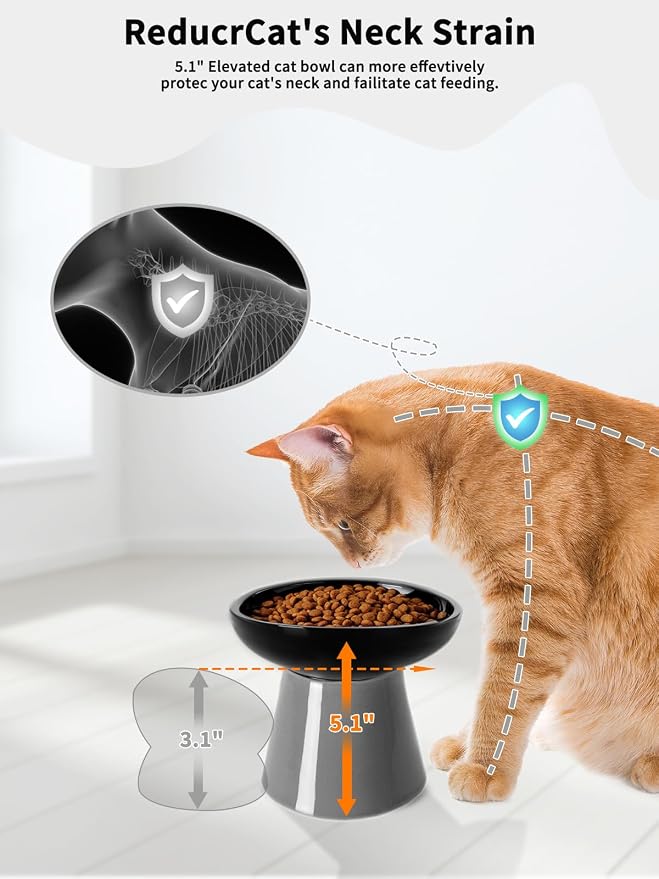 LoeJan Elevated Cat Food and Water Bowls Set, Extra Wide and Raised Ceramic Feeder, Anti-Vomit Whisker-Free Pressure Feeding Bowl for Kittens Adult Small Dogs (Black, Food Bowl)