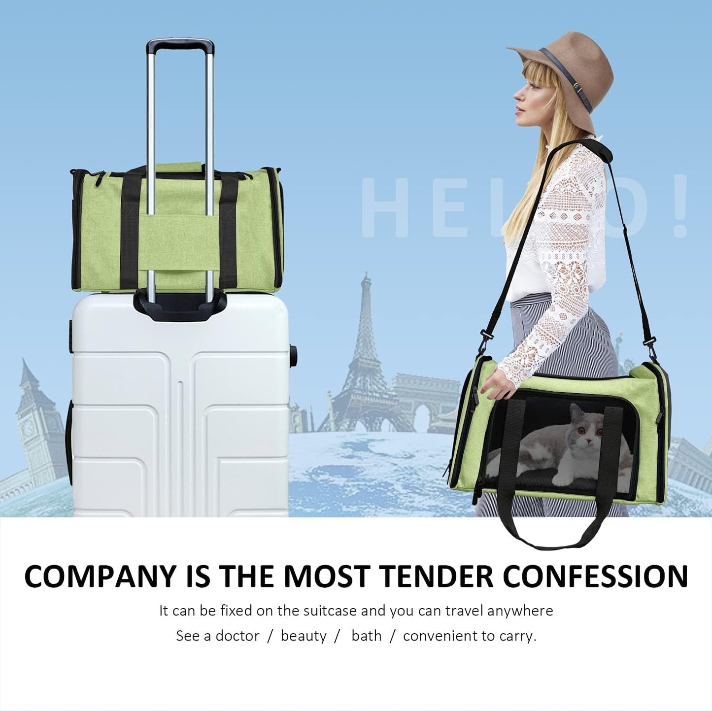 Pet Carrier for Small Medium Cats Dogs Puppies up to 15 Lbs, Airline Approved Small Dog Carrier Soft Sided, Collapsible Travel Puppy Carrier - Green