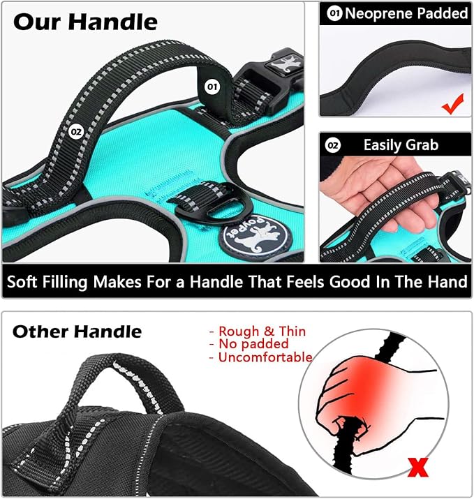PoyPet No Pull Dog Harness Large with Front Clip & Neck Release Buckle | No Choke, Adjustable Vest, Reflective, Back Clip, Lockable, Soft Padded Handle for Walking Training, L, Mint Blue