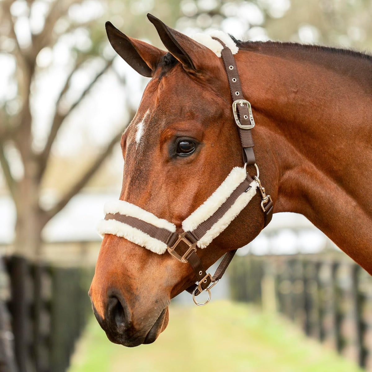 Equinavia Valkyrie Soft Ultra Fleece Padded Adjustable Breakaway Horse Halter - Brown/Ivory White - Cob