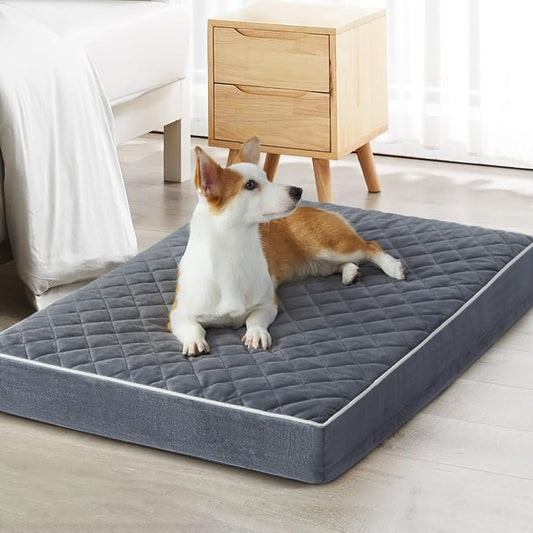WNPETHOME Orthopedic Giant Human Dog Beds for Adult & Dog Cozy Sleep | Human Washable Waterproof Dogs Bed with Removable Cover, Multi-Needle Quilting Dogs Crate Bed for Relax ,Grey 61x43 Inch