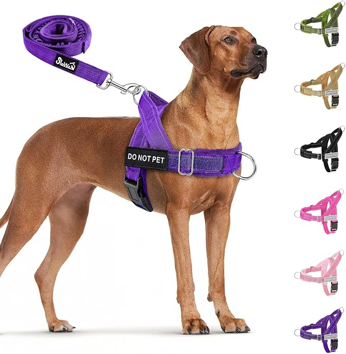 SlowTon No Pull Dog Harness with Front Clip - Heavy Duty, Soft Padded | Neck & Chest Adjustable, Tactical Pet Vest and Leash Set for Large Medium Sized Dogs, for Easy Walk & Training, Purple L