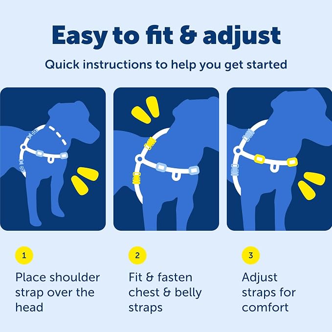 PetSafe Deluxe Easy Walk No Pull Dog Harness, Apple Green, Medium/Large | Padded Neoprene Straps, Reflective Strips for Night Safety, Martingale Loop Curbs Pulling from the Chest, Not the Throat