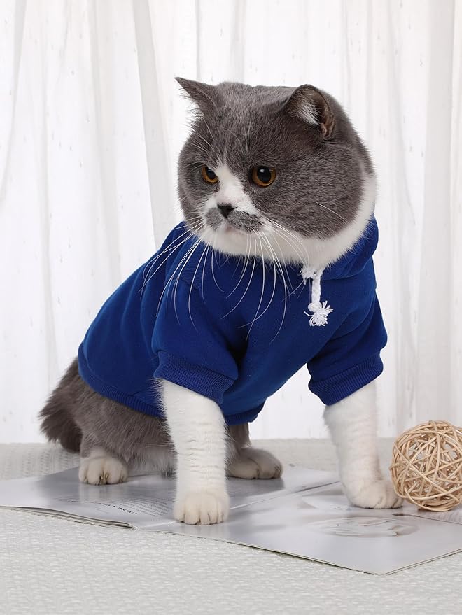 QWINEE Basic Dog Hoodie Sweatshirt Puppy Sweater Warm Cat Costumes Pet Clothes for Chihuahua Puppy Kitten Small Medium Dogs Royal Blue X-Large