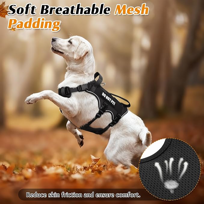 Escape Proof Dog Harness with Double Handle+4 Removable Patches | Service Working Molle Harness with Double Handle for Medium Dogs, Tactical Pet Reflective Vest for Walking Hiking Hunting