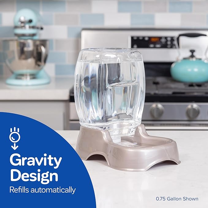 Petmate Pet Cafe Cat and Dog Water Dispenser Extra Small Water Bowl for Kittens and Puppies, USA Made, 0.25 GAL, 7.3"H, Pearl Ash Blue