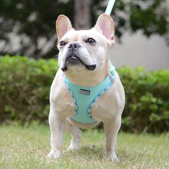 Mercano Soft Mesh Dog Harness and Leash Set, No-Chock Step-in Reflective Breathable Lightweight Easy Walk Vest Harnesses with Safety Buckle for Small Dogs, Cats (Light Green, XS)