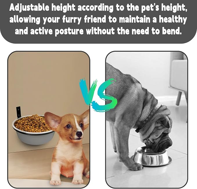 Elevated Dog Bowls-2 * 30 Oz, Stainless-Steel Raised Adjustable Height