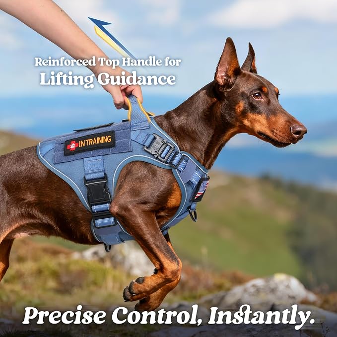 rabbitgoo Tactical Dog Harness for Small, Heavy Duty Military No Pull Vest | Sturdy Metal Buckles, 5 Adjustments, Molle System, Powerful Pullers for Training, Hunting, Outdoor, Blue Reflex, Small
