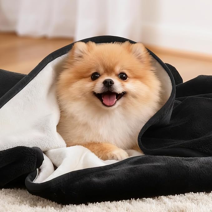 LOOBANI Waterproof Dog Blanket for Small Dogs, Pet Blanket 30" x 40", Black | Double Side Liquid-Proof, Puppy Blanket for Dog Cat Bed, Crate, Playpen, Reversible Soft Flannel, Couch Cover Throw