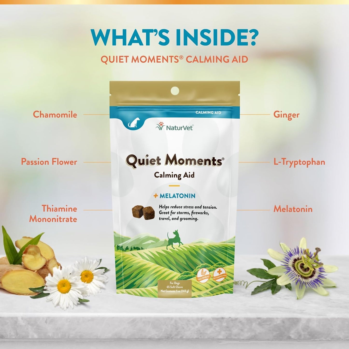 NaturVet Quiet Moments Calming Dog Supplement, Dog Soft Chews with Melatonin to Help Reduce Stress from Storms, The Vet, Fireworks, and Travel, Bacon and Chicken Flavored Pet Supplement, 65 Count