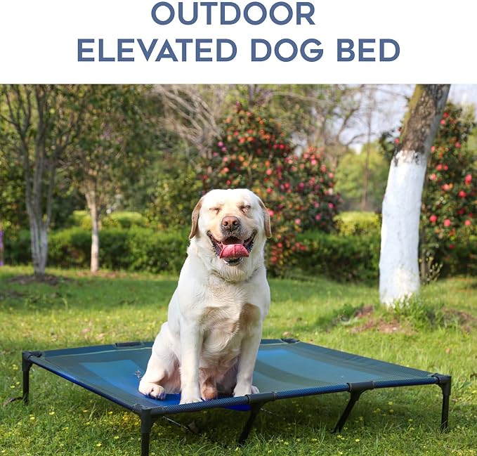 Elevated Dogs Bed Waterproof Outdoor, Portable Raised Dog Bed, Dog Beds Off the Floor, Dogs Bed Easy Clean Indoor or Outdoor Use, X-Large, Blue