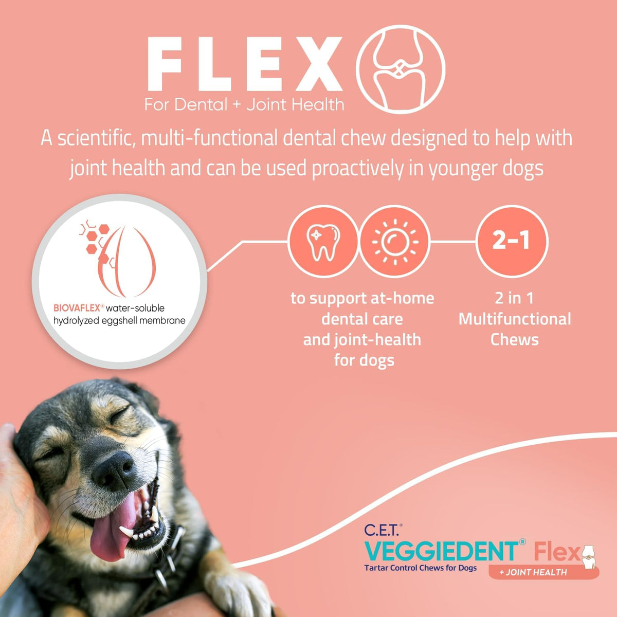 Virbac C.E.T. VEGGIEDENT Flex Tartar Control Chews for Dogs - Large