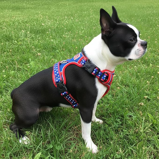 Medium Dog Harness, No Pull Pet Vest with Neck Buckle for Easy On Off, Breathable Walking Harness for French Bulldog, Corgi, Beagle, Padded with Sturdy Handle, 2 Tactical Leash Clips (M Size)