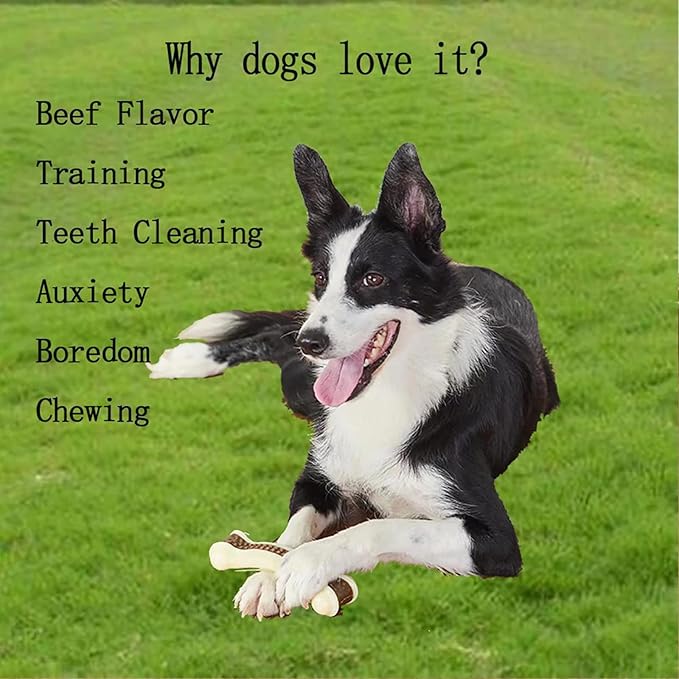 BETTEPROD Dog Bones Chew Toys for Aggressive Chewers, 3 Pack Real Beef Flavor,Indestructible Dog Teething Chew Toys for Large/Medium/Small Puppies Breed,Tough Pet Toy with Nylon