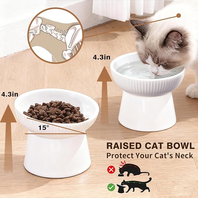 Elevated Cat Food Bowl, Ceramic Raised and Tilted Water Bowl, Whisker Fatigue Cat Bowls for Indoor Cats, Anti Vomiting and Protect Spines Pet Feeding Dishes for Kittens Small Dog, Heavy Non-Slip Base