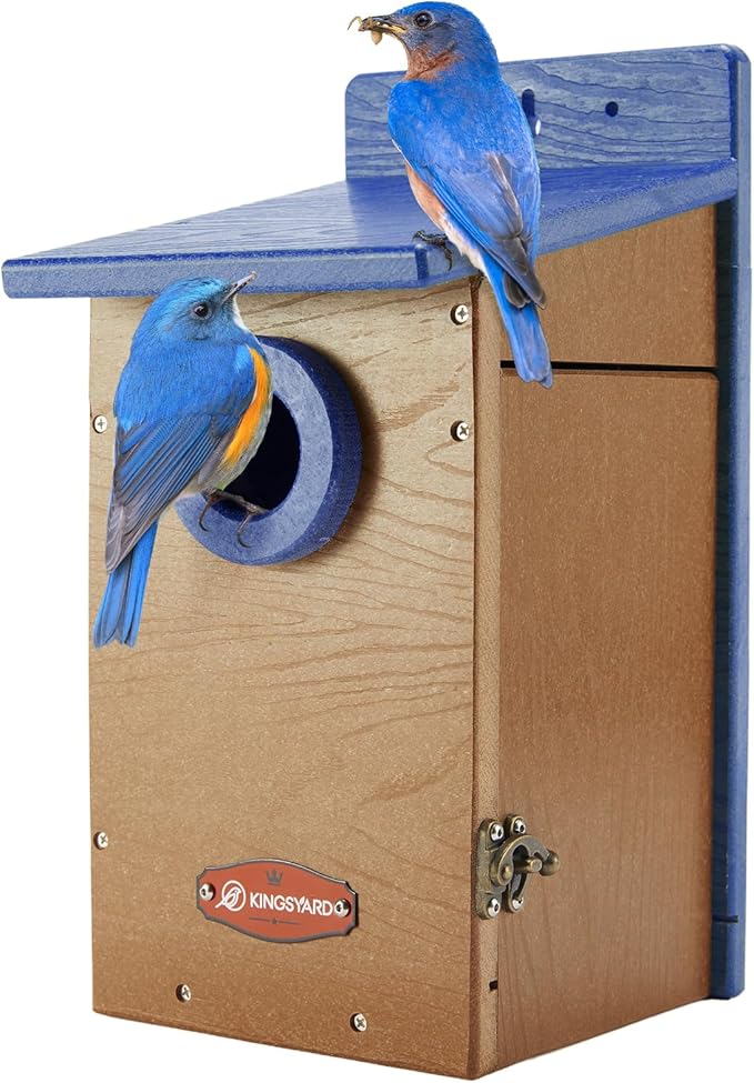 Kingsyard Recycled Plastic Bird House for Outdoor - Durable Nesting Box with Clear View Panel & Predator Guard for Bluebird Wren Swallow Finch, Blue & Brown