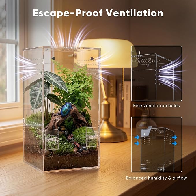 4"×4"×8" Ready-to-Use Acrylic Jumping Spider Enclosure No Assembly Needed | 360° Ventilation, Mini Reptile Terrarium for Jumping Spider, Mantis, Snail – Ideal for Desk, Living Room & Bedroom