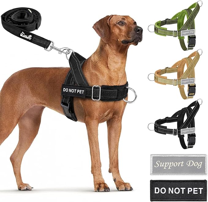 SlowTon No Pull Dog Harness with Front Clip - Heavy Duty, Soft Padded | Neck & Chest Adjustable, Tactical Pet Vest and Leash Set for Large Medium Sized Dogs, for Easy Walk & Training, Black S