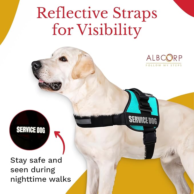 Service Dog Vest Harness – Reflective Service Animal Vest, No-Pull Harness with Handle & Mesh Padding – Sizes XXS-XL for Puppies – 2 Removable Service Patches Included (Large, Blue)