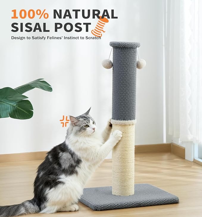 Made4Pets Cat Scratching Post with Sisal & Carpet for Indoor Cats, 23.6" | Cat Scratcher with Wide Stable Base, Interactive Hanging Toys, Ideal for Kittens, Small Cats and Everyday Indoor Play