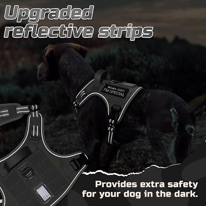 rabbitgoo Tactical Dog Harness for Large, No Pull Military Service Vest | Molle & Handle, Heavy Duty, Adjustable, Reflective Straps, Easy Control for Training Walking, Grey, Large