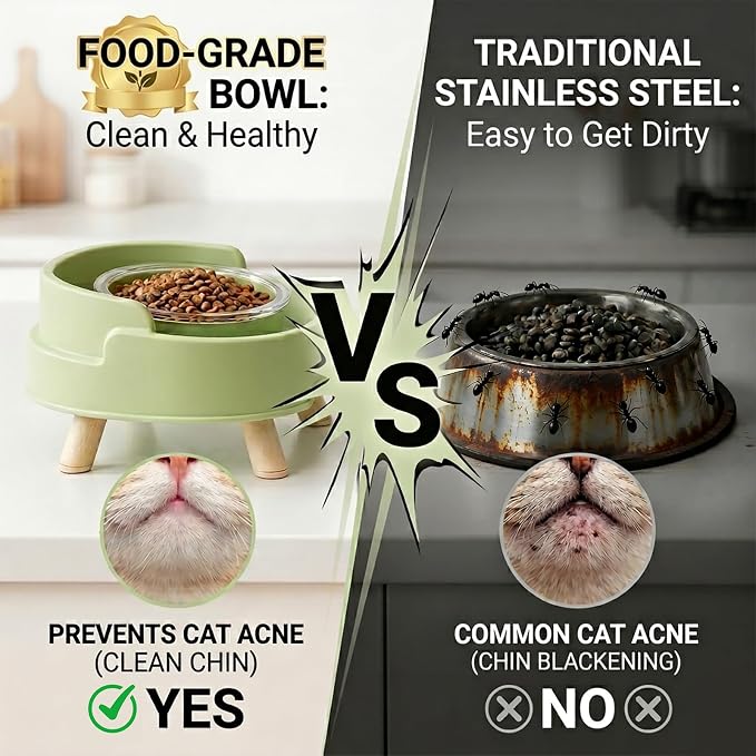 Ant Not Cross Elevated Cat Bowls Mess Proof-2 Food Grade Glass Bowls & 1 Lids- No Spill Cat Food and Water Feeding Station for Cats&Puppy Indoor & Outdoor,No Whisker Fatigue Dish,Beige
