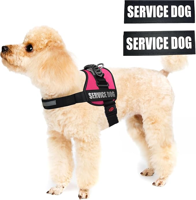 Service Dog Vest Harness – Reflective Service Animal Vest, No-Pull Harness with Handle & Mesh Padding – Sizes XXS-XL for Puppies – 2 Removable Service Patches Included (XXS, Pink)