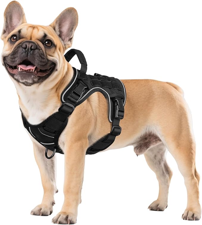 WINGOIN Black Tactical Dog Harness for Small Dogs,No Pull Dog Harness | Heavy Duty with Handle,Adjustable Reflective,Military K9 Body Pet Vest,for French Bull Pugdog,for Walking Training Running