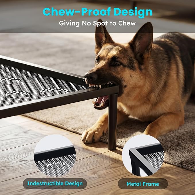ZOMISIA Chew Proof Elevated Dog Bed for Medium Dogs, 36" x 24" x 5", Black | Indestructible Raised Pet Cot for Indoor & Outdoor Use, with Removable Waterproof Padded, Non-Slip & Washable, Easy to Clean