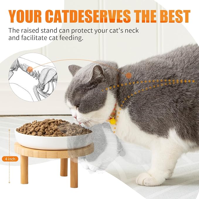 Lusifaco Shallow Elevated Cat Bowls,5.9 Inch Wide Raised Ceramic Cat Dishes with Bamboo Stand, Whisker Friendly Pet Water or Food Plates Feeding Station for Indoor Cats, Kitten(Green,Set of 2)