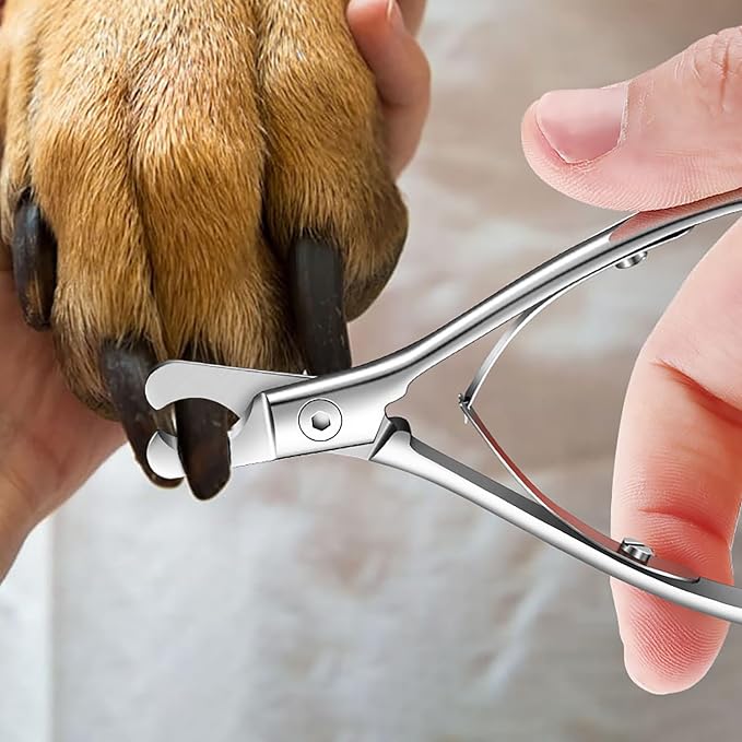 Dog & Cat Nail Clippers Trimmer Pet Grooming Tool | Sharp Stainless Steel Pet Nail Clippers For Dogs Cats Rabbits And Small to Large Pets.Grooming Claw Maintenance